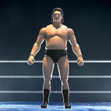 André the Giant – Series 2 - Super 7 ULTIMATES! Action Figure