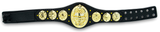 Hikaru Shida - AEW Unrivaled Series 6