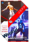 Jeff Hardy - WWE Ultimate Edition Series 14